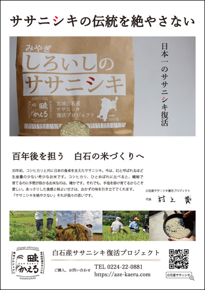 sasa_A4_chirashi201214